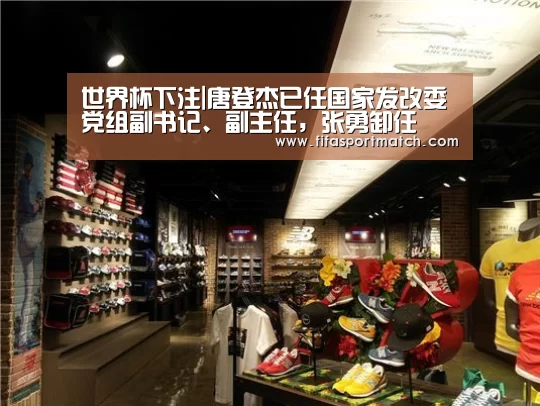 世界杯下注|唐登杰已任国家发改委党组副书记、副主任,张勇卸任(图3) 世界杯投注网