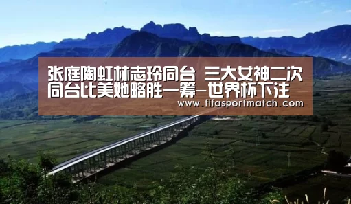 张庭陶虹林志玲同台 三大女神二次同台比美她略胜一筹-世界杯下注平台(图3) 世界杯投注网