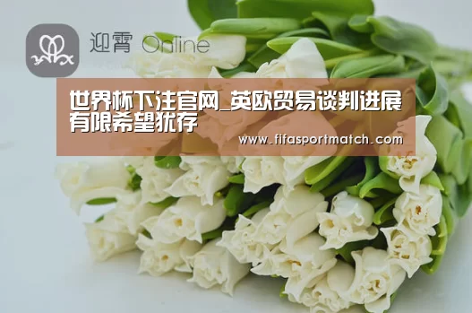 世界杯下注官网_英欧贸易谈判进展有限希望犹存(图1) 世界杯下注平台