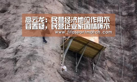 高云龙:民营经济地位作用不容置疑,民营企业家国情怀不容怀疑【世界杯下注平台】(图1) 世界杯投注网