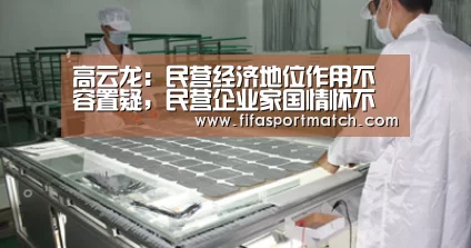 高云龙:民营经济地位作用不容置疑,民营企业家国情怀不容怀疑【世界杯下注平台】(图2) 世界杯下注官网